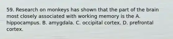 59. Research on monkeys has shown that the part of the brain most closely associated with working memory is the A. hippocampus. B. amygdala. C. occipital cortex. D. prefrontal cortex.