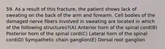 59. As a result of this fracture, the patient shows lack of sweating on the back of the arm and forearm. Cell bodies of the damaged nerve fibers involved in sweating are located in which of the following structures?(A) Anterior horn of the spinal cord(B) Posterior horn of the spinal cord(C) Lateral horn of the spinal cord(D) Sympathetic chain ganglion(E) Dorsal root ganglion