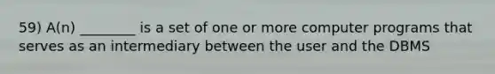 59) A(n) ________ is a set of one or more computer programs that serves as an intermediary between the user and the DBMS