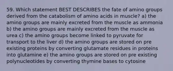 59. Which statement BEST DESCRIBES the fate of amino groups derived from the catabolism of amino acids in muscle? a) the amino groups are mainly excreted from the muscle as ammonia b) the amino groups are mainly excreted from the muscle as urea c) the amino groups become linked to pyruvate for transport to the liver d) the amino groups are stored on pre existing proteins by converting glutamate residues in proteins into glutamine e) the amino groups are stored on pre existing polynucleotides by converting thymine bases to cytosine