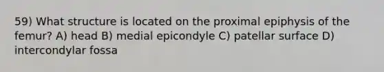 59) What structure is located on the proximal epiphysis of the femur? A) head B) medial epicondyle C) patellar surface D) intercondylar fossa
