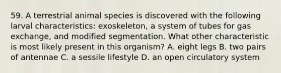 59. A terrestrial animal species is discovered with the following larval characteristics: exoskeleton, a system of tubes for gas exchange, and modified segmentation. What other characteristic is most likely present in this organism? A. eight legs B. two pairs of antennae C. a sessile lifestyle D. an open circulatory system