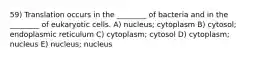 59) Translation occurs in the ________ of bacteria and in the ________ of eukaryotic cells. A) nucleus; cytoplasm B) cytosol; endoplasmic reticulum C) cytoplasm; cytosol D) cytoplasm; nucleus E) nucleus; nucleus