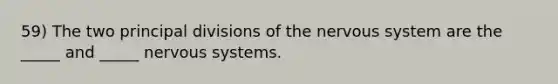 59) The two principal divisions of the <a href='https://www.questionai.com/knowledge/kThdVqrsqy-nervous-system' class='anchor-knowledge'>nervous system</a> are the _____ and _____ nervous systems.