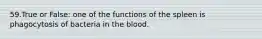 59.True or False: one of the functions of the spleen is phagocytosis of bacteria in the blood.