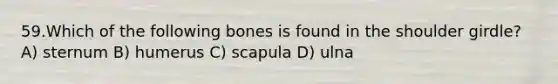 59.Which of the following bones is found in the shoulder girdle? A) sternum B) humerus C) scapula D) ulna