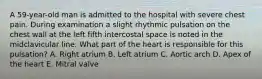 A 59-year-old man is admitted to the hospital with severe chest pain. During examination a slight rhythmic pulsation on the chest wall at the left fifth intercostal space is noted in the midclavicular line. What part of the heart is responsible for this pulsation? A. Right atrium B. Left atrium C. Aortic arch D. Apex of the heart E. Mitral valve