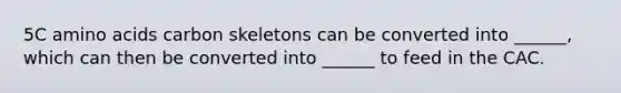 5C amino acids carbon skeletons can be converted into ______, which can then be converted into ______ to feed in the CAC.