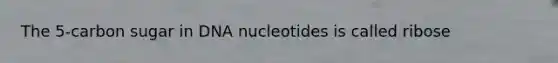 The 5-carbon sugar in DNA nucleotides is called ribose