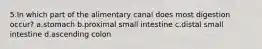 5.In which part of the alimentary canal does most digestion occur? a.stomach b.proximal small intestine c.distal small intestine d.ascending colon