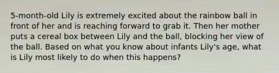 5-month-old Lily is extremely excited about the rainbow ball in front of her and is reaching forward to grab it. Then her mother puts a cereal box between Lily and the ball, blocking her view of the ball. Based on what you know about infants Lily's age, what is Lily most likely to do when this happens?