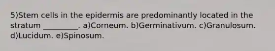 5)Stem cells in the epidermis are predominantly located in the stratum _________. a)Corneum. b)Germinativum. c)Granulosum. d)Lucidum. e)Spinosum.