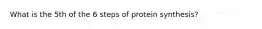 What is the 5th of the 6 steps of protein synthesis?