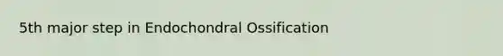 5th major step in Endochondral Ossification