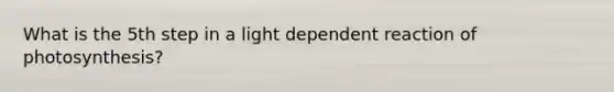 What is the 5th step in a light dependent reaction of photosynthesis?