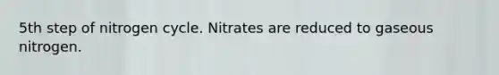 5th step of nitrogen cycle. Nitrates are reduced to gaseous nitrogen.