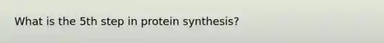 What is the 5th step in protein synthesis?