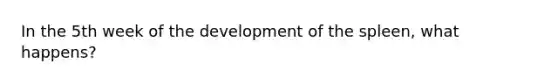 In the 5th week of the development of the spleen, what happens?