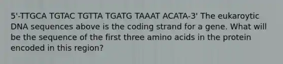 5'-TTGCA TGTAC TGTTA TGATG TAAAT ACATA-3' The eukaroytic DNA sequences above is the coding strand for a gene. What will be the sequence of the first three <a href='https://www.questionai.com/knowledge/k9gb720LCl-amino-acids' class='anchor-knowledge'>amino acids</a> in the protein encoded in this region?