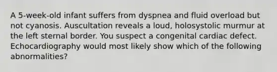 A 5-week-old infant suffers from dyspnea and fluid overload but not cyanosis. Auscultation reveals a loud, holosystolic murmur at the left sternal border. You suspect a congenital cardiac defect. Echocardiography would most likely show which of the following abnormalities?