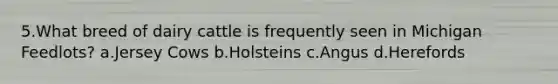5.What breed of dairy cattle is frequently seen in Michigan Feedlots? a.Jersey Cows b.Holsteins c.Angus d.Herefords