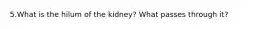 5.What is the hilum of the kidney? What passes through it?