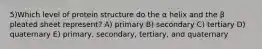 5)Which level of protein structure do the α helix and the β pleated sheet represent? A) primary B) secondary C) tertiary D) quaternary E) primary, secondary, tertiary, and quaternary