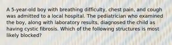 A 5-year-old boy with breathing difficulty, chest pain, and cough was admitted to a local hospital. The pediatrician who examined the boy, along with laboratory results, diagnosed the child as having cystic fibrosis. Which of the following structures is most likely blocked?