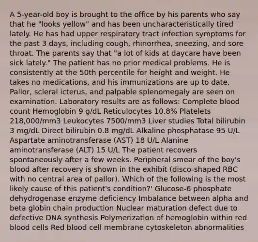 A 5-year-old boy is brought to the office by his parents who say that he "looks yellow" and has been uncharacteristically tired lately. He has had upper respiratory tract infection symptoms for the past 3 days, including cough, rhinorrhea, sneezing, and sore throat. The parents say that "a lot of kids at daycare have been sick lately." The patient has no prior medical problems. He is consistently at the 50th percentile for height and weight. He takes no medications, and his immunizations are up to date. Pallor, scleral icterus, and palpable splenomegaly are seen on examination. Laboratory results are as follows: Complete blood count Hemoglobin 9 g/dL Reticulocytes 10.8% Platelets 218,000/mm3 Leukocytes 7500/mm3 Liver studies Total bilirubin 3 mg/dL Direct bilirubin 0.8 mg/dL Alkaline phosphatase 95 U/L Aspartate aminotransferase (AST) 18 U/L Alanine aminotransferase (ALT) 15 U/L The patient recovers spontaneously after a few weeks. Peripheral smear of the boy's blood after recovery is shown in the exhibit (disco-shaped RBC with no central area of pallor). Which of the following is the most likely cause of this patient's condition?' Glucose-6 phosphate dehydrogenase enzyme deficiency Imbalance between alpha and beta globin chain production Nuclear maturation defect due to defective DNA synthesis Polymerization of hemoglobin within red blood cells Red blood cell membrane cytoskeleton abnormalities