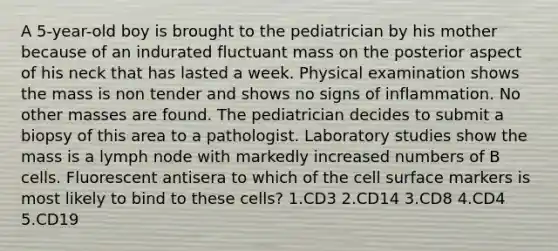 A 5-year-old boy is brought to the pediatrician by his mother because of an indurated fluctuant mass on the posterior aspect of his neck that has lasted a week. Physical examination shows the mass is non tender and shows no signs of inflammation. No other masses are found. The pediatrician decides to submit a biopsy of this area to a pathologist. Laboratory studies show the mass is a lymph node with markedly increased numbers of B cells. Fluorescent antisera to which of the cell surface markers is most likely to bind to these cells? 1.CD3 2.CD14 3.CD8 4.CD4 5.CD19