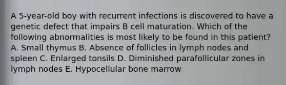 A 5-year-old boy with recurrent infections is discovered to have a genetic defect that impairs B cell maturation. Which of the following abnormalities is most likely to be found in this patient? A. Small thymus B. Absence of follicles in lymph nodes and spleen C. Enlarged tonsils D. Diminished parafollicular zones in lymph nodes E. Hypocellular bone marrow