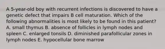 A 5-year-old boy with recurrent infections is discovered to have a genetic defect that impairs B cell maturation. Which of the following abnormalities is most likely to be found in this patient? A. small thymus B. absence of follicles in lymph nodes and spleen C. enlarged tonsils D. diminished parafollicular zones in lymph nodes E. hypocellular bone marrow