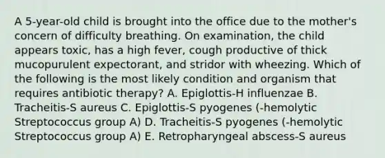 A 5-year-old child is brought into the office due to the mother's concern of difficulty breathing. On examination, the child appears toxic, has a high fever, cough productive of thick mucopurulent expectorant, and stridor with wheezing. Which of the following is the most likely condition and organism that requires antibiotic therapy? A. Epiglottis-H influenzae B. Tracheitis-S aureus C. Epiglottis-S pyogenes (-hemolytic Streptococcus group A) D. Tracheitis-S pyogenes (-hemolytic Streptococcus group A) E. Retropharyngeal abscess-S aureus