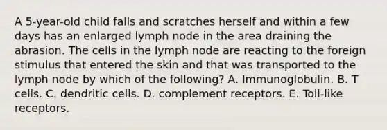 A 5-year-old child falls and scratches herself and within a few days has an enlarged lymph node in the area draining the abrasion. The cells in the lymph node are reacting to the foreign stimulus that entered the skin and that was transported to the lymph node by which of the following? A. Immunoglobulin. B. T cells. C. dendritic cells. D. complement receptors. E. Toll-like receptors.