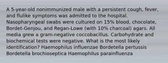 A 5-year-old nonimmunized male with a persistent cough, fever, and flulike symptoms was admitted to the hospital. Nasopharyngeal swabs were cultured on 15% blood, chocolate, Bordet-Genjou, and Regan-Lowe (with 10% charcoal) agars. All media grew a gram-negative coccobacillus. Carbohydrate and biochemical tests were negative. What is the most likely identification? Haemophilus influenzae Bordetella pertussis Bordetella brochioseptica Haemophilus parainfluenza