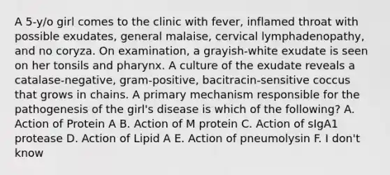 A 5-y/o girl comes to the clinic with fever, inflamed throat with possible exudates, general malaise, cervical lymphadenopathy, and no coryza. On examination, a grayish-white exudate is seen on her tonsils and pharynx. A culture of the exudate reveals a catalase-negative, gram-positive, bacitracin-sensitive coccus that grows in chains. A primary mechanism responsible for the pathogenesis of the girl's disease is which of the following? A. Action of Protein A B. Action of M protein C. Action of sIgA1 protease D. Action of Lipid A E. Action of pneumolysin F. I don't know