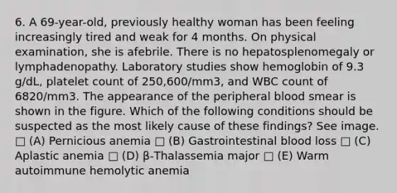 6. A 69-year-old, previously healthy woman has been feeling increasingly tired and weak for 4 months. On physical examination, she is afebrile. There is no hepatosplenomegaly or lymphadenopathy. Laboratory studies show hemoglobin of 9.3 g/dL, platelet count of 250,600/mm3, and WBC count of 6820/mm3. The appearance of the peripheral blood smear is shown in the figure. Which of the following conditions should be suspected as the most likely cause of these findings? See image. □ (A) Pernicious anemia □ (B) Gastrointestinal blood loss □ (C) Aplastic anemia □ (D) β-Thalassemia major □ (E) Warm autoimmune hemolytic anemia