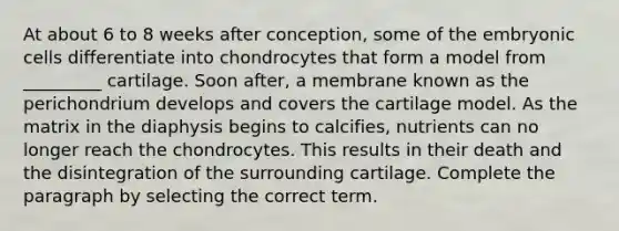 At about 6 to 8 weeks after conception, some of the embryonic cells differentiate into chondrocytes that form a model from _________ cartilage. Soon after, a membrane known as the perichondrium develops and covers the cartilage model. As the matrix in the diaphysis begins to calcifies, nutrients can no longer reach the chondrocytes. This results in their death and the disintegration of the surrounding cartilage. Complete the paragraph by selecting the correct term.