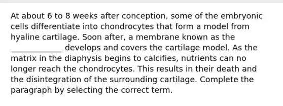 At about 6 to 8 weeks after conception, some of the embryonic cells differentiate into chondrocytes that form a model from hyaline cartilage. Soon after, a membrane known as the _____________ develops and covers the cartilage model. As the matrix in the diaphysis begins to calcifies, nutrients can no longer reach the chondrocytes. This results in their death and the disintegration of the surrounding cartilage. Complete the paragraph by selecting the correct term.