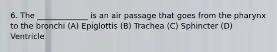 6. The _____________ is an air passage that goes from <a href='https://www.questionai.com/knowledge/ktW97n6hGJ-the-pharynx' class='anchor-knowledge'>the pharynx</a> to the bronchi (A) Epiglottis (B) Trachea (C) Sphincter (D) Ventricle