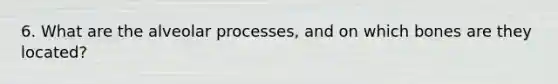 6. What are the alveolar processes, and on which bones are they located?