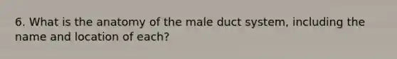 6. What is the anatomy of the male duct system, including the name and location of each?