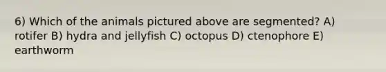 6) Which of the animals pictured above are segmented? A) rotifer B) hydra and jellyfish C) octopus D) ctenophore E) earthworm