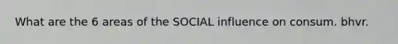 What are the 6 areas of the SOCIAL influence on consum. bhvr.