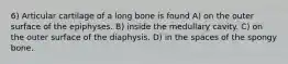 6) Articular cartilage of a long bone is found A) on the outer surface of the epiphyses. B) inside the medullary cavity. C) on the outer surface of the diaphysis. D) in the spaces of the spongy bone.