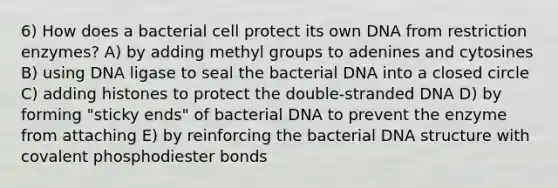 6) How does a bacterial cell protect its own DNA from restriction enzymes? A) by adding methyl groups to adenines and cytosines B) using DNA ligase to seal the bacterial DNA into a closed circle C) adding histones to protect the double-stranded DNA D) by forming "sticky ends" of bacterial DNA to prevent the enzyme from attaching E) by reinforcing the bacterial DNA structure with covalent phosphodiester bonds