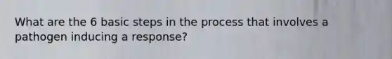 What are the 6 basic steps in the process that involves a pathogen inducing a response?