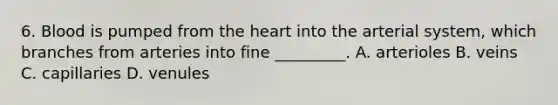 6. Blood is pumped from the heart into the arterial system, which branches from arteries into fine _________. A. arterioles B. veins C. capillaries D. venules