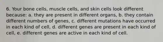 6. Your bone cells, muscle cells, and skin cells look different because: a. they are present in different organs, b. they contain different numbers of genes, c. different mutations have occurred in each kind of cell, d. different genes are present in each kind of cell, e. different genes are active in each kind of cell.