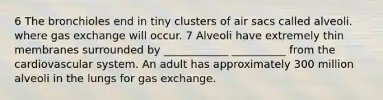 6 The bronchioles end in tiny clusters of air sacs called alveoli. where gas exchange will occur. 7 Alveoli have extremely thin membranes surrounded by ____________ __________ from the cardiovascular system. An adult has approximately 300 million alveoli in the lungs for gas exchange.